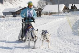 Lenk 2012 SM